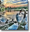 Wantagh, Long Island - Photo by Colleen Casabianca